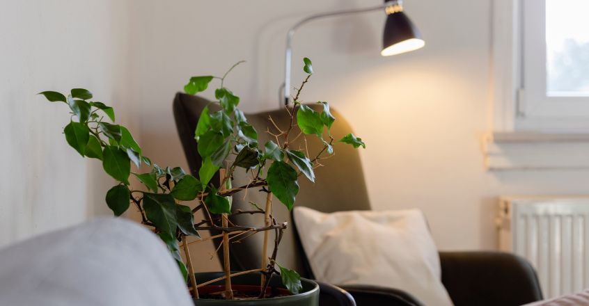 Sala con lámpara encendida y planta natural, ambiente acogedor para reducir consumo de electricidad